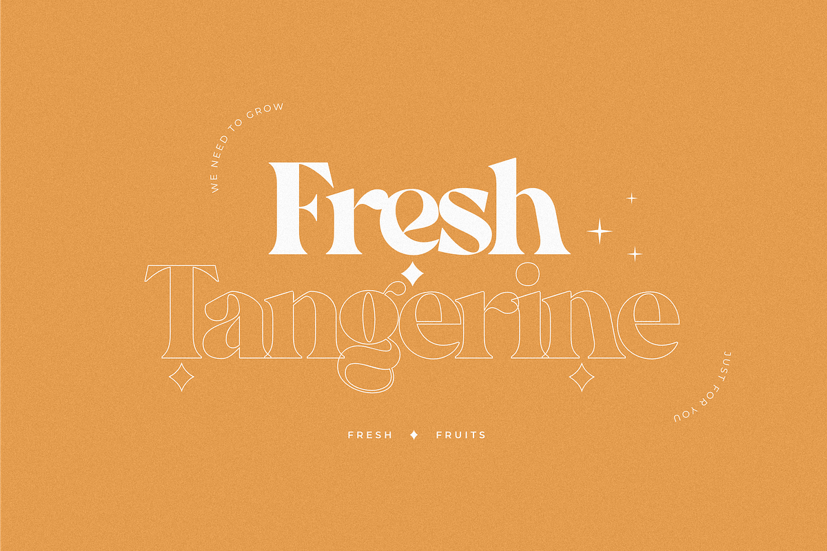 Peach - Modern Chic Serif, a Serif Font by Sans & Sons (Photo 5 of 9)