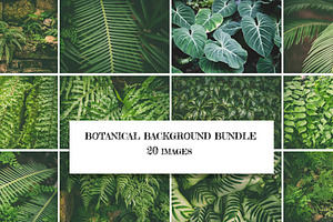 Botanical background bundle 20 jpg