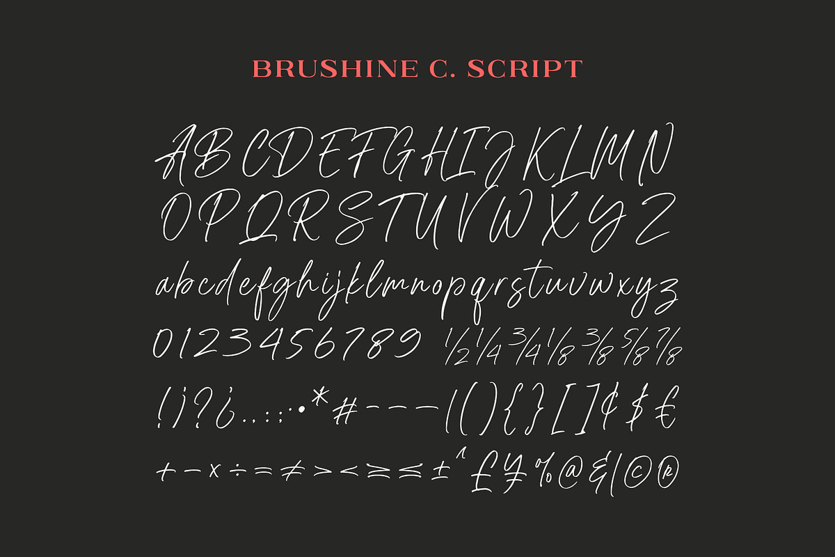 Brushine Collective Font, a Serif Font by trustha (Photo 14 of 15)