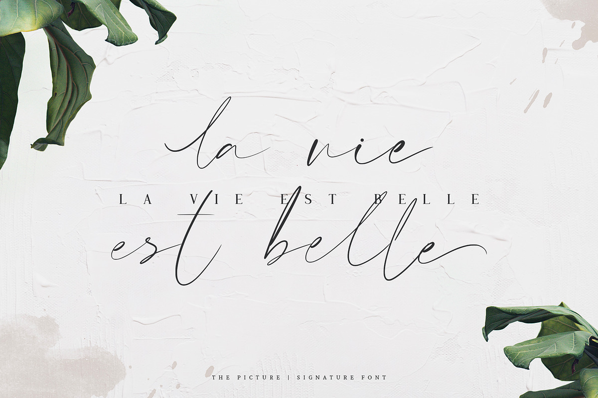 The Picture | Signature Font preview 2