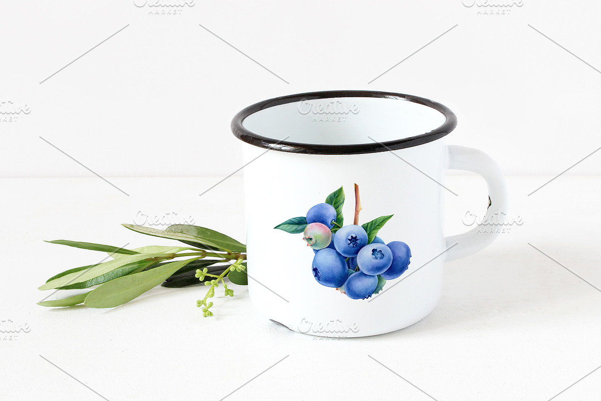 Blueberry, botanical illustration, a Food Illustration by Hanna Hryharenka (Photo 4 of 9)