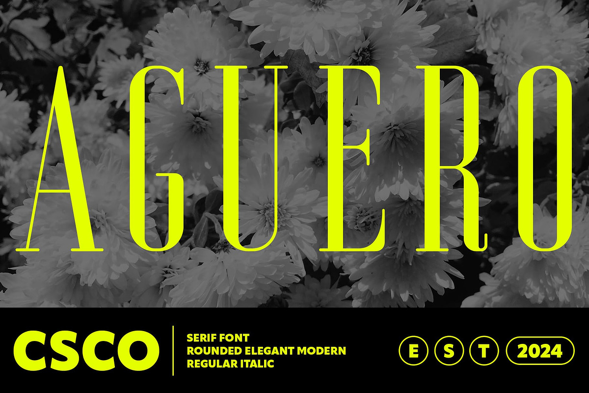 Aguero Serif Rounded, a Serif Font by Craft Supply Co. (Photo 1 of 8)