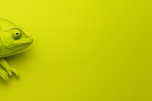 Green chameleon on chartreuse background with space for text, a Photo by Dvoevnore photos
