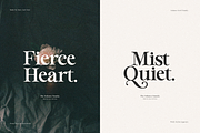 Solance Serif, a Serif Font by Sans & Sons (Thumbnail 5 of 10)