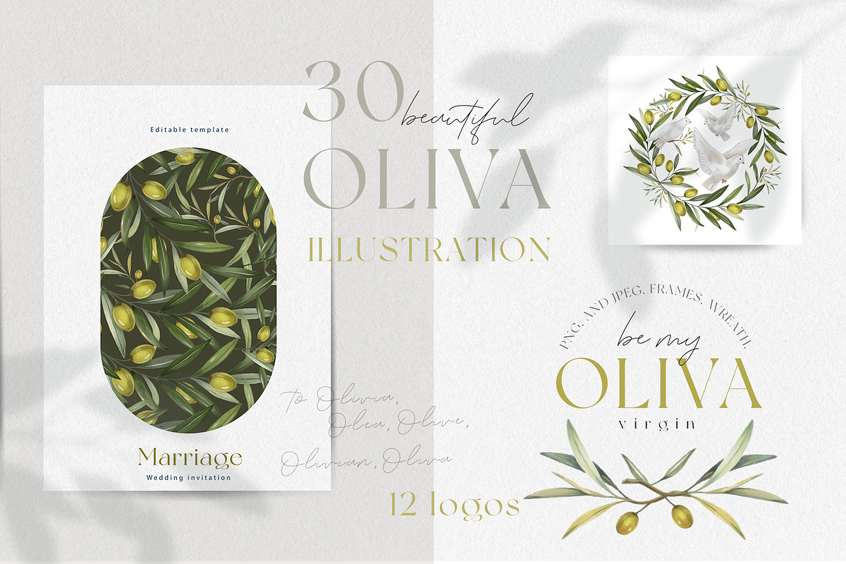 Olive illustrations and logos, an Illustration by Ojeny shop (Photo 1 of 8)