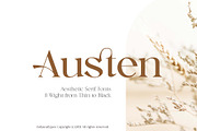 Austen - Aesthetic Serif Font, a Serif Font by Ardyanatypes (Thumbnail 1 of 12)