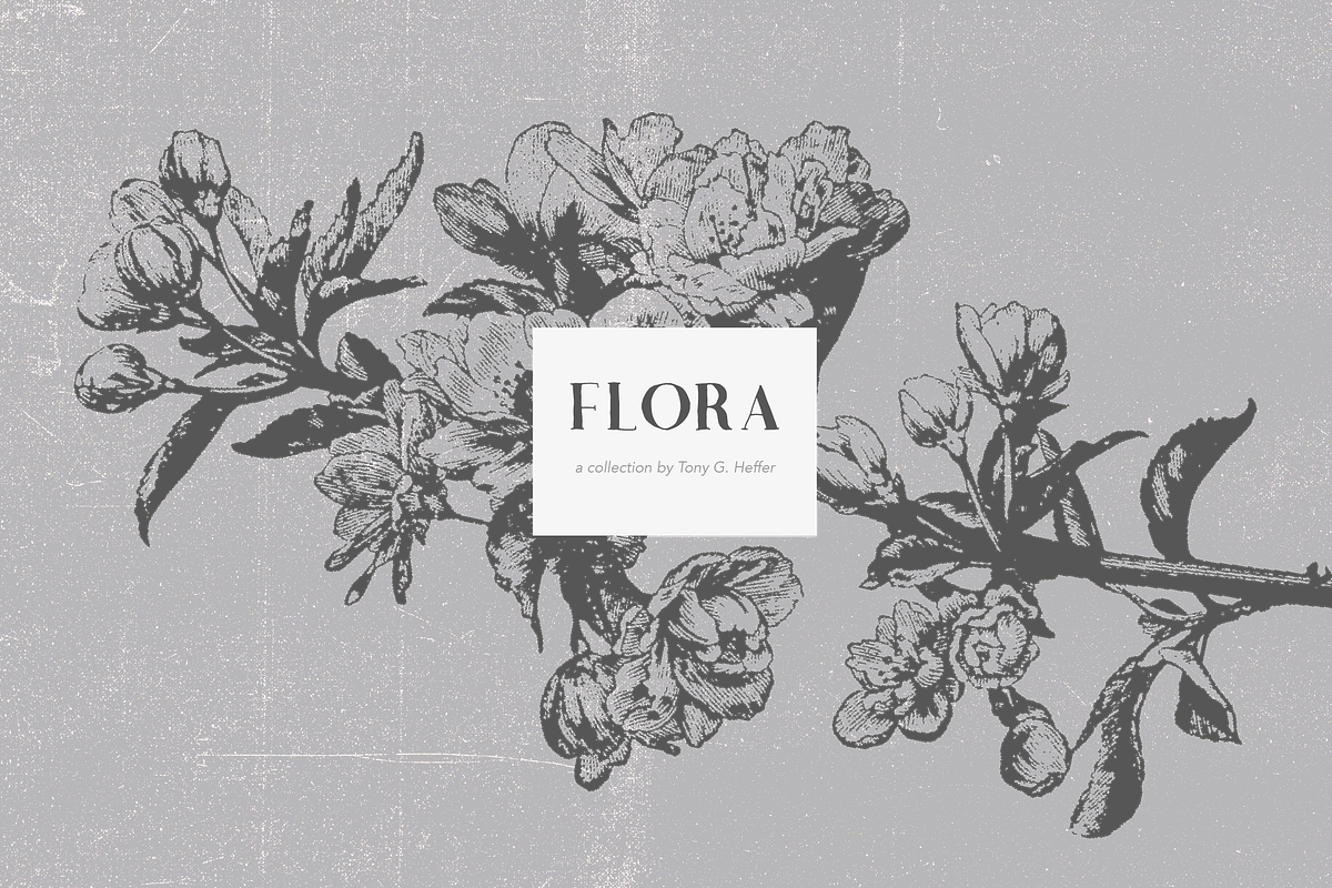 Bogota Handwritten Font preview 3