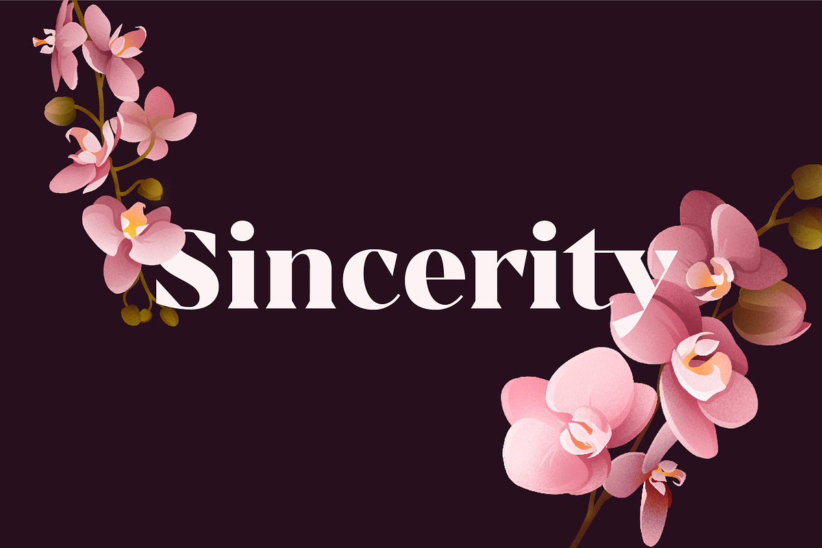 Sincerity, a Serif Font by OceaneM (Photo 1 of 8)