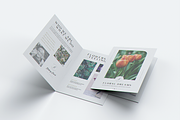 US Size Bifold Brochure MockUp, a Brochure Template by coloformia (Thumbnail 9 of 12)