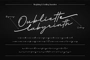 Slowly Signature, a Script Font by Drizy (Thumbnail 5 of 8)