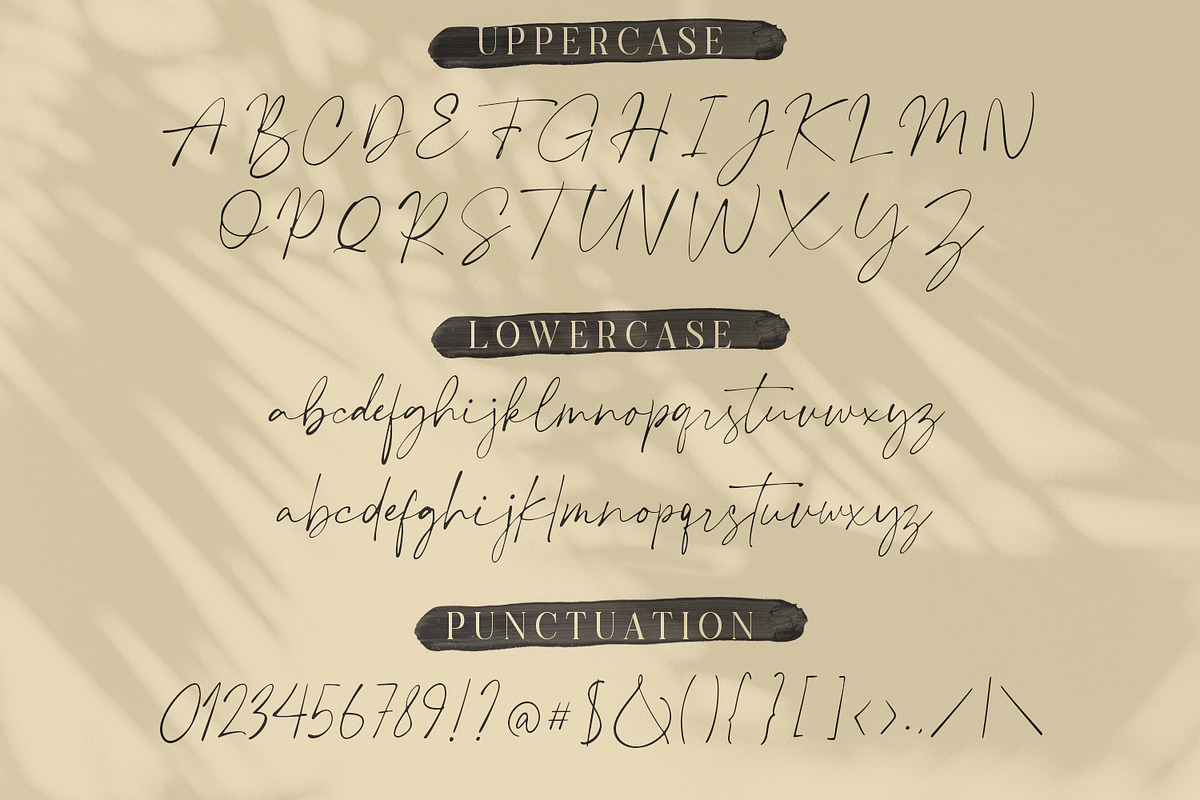 Plumrose Signature Script Font, a Script Font by Typetemp Studio (Photo 10 of 11)