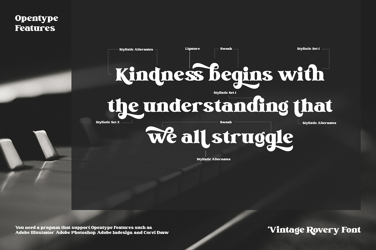 Vintage Rovery, a Serif Font by Vintage Division (Photo 8 of 10)