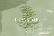 Greenery & Ferns PNG Illustrations, a Decorative Illustration by whiteheartdesign (Thumbnail 19 of 19)