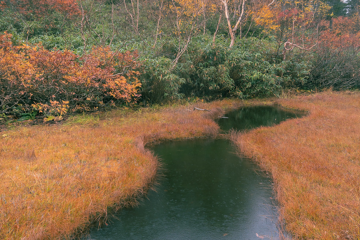 Japan Alpine Autumn & Misty Forests, a Nature Photo by Silent Nature (Photo 2 of 5)