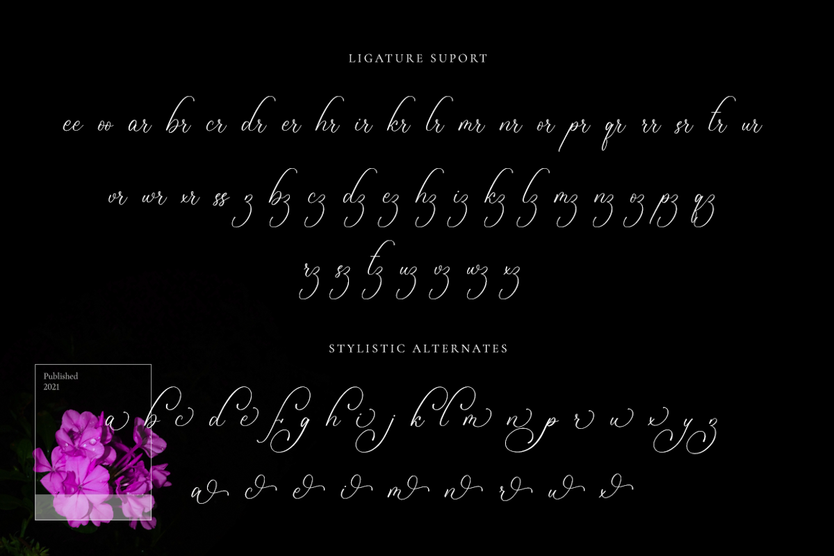 Bulvaryante - Romantic Calligraphy, a Script Font by RockboyStd (Photo 11 of 12)