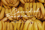 Taylor Demian - Signature Font, a Script Font by Get Studio (Thumbnail 15 of 21)