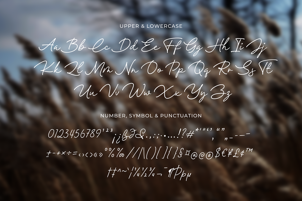 Collins Hearthfield a Script Font, a Handwritten Font by Ainun Jinan (Photo 11 of 11)