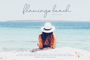 Script Font Apotheosis, a Script Font by pixelcolours (Thumbnail 9 of 15)