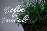 Brush Tangse, a Script Font by Raseuki (Thumbnail 7 of 8)