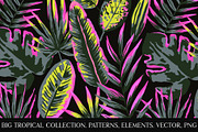 Neon tropical collection, a Pattern Graphic by Robusta (Thumbnail 1 of 22)