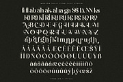 Qelrage Modern Serif Font, a Serif Font by Storytype Studio (Thumbnail 14 of 15)