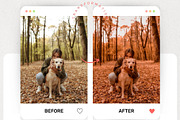 Autumn Lightroom Presets & Luts, a Preset Add-On by presetsroom (Thumbnail 7 of 11)