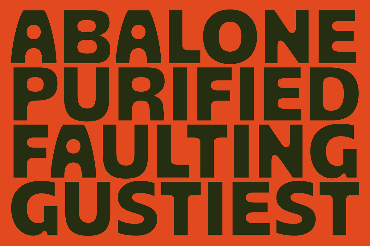 Orlive, a Sans Serif Font by Flavortype (Photo 4 of 15)