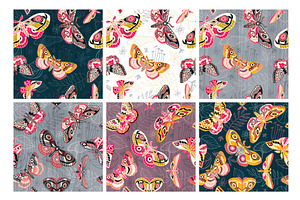 Night Moths, Butterflies Vector Set