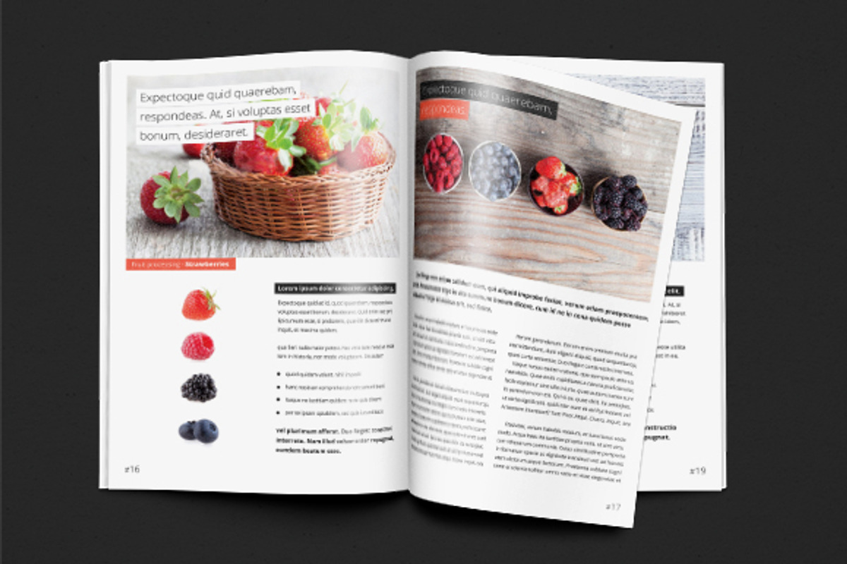 Cook Book - Recipes vol 2, a Magazine Template by pixart_pm (Photo 2 of 4)