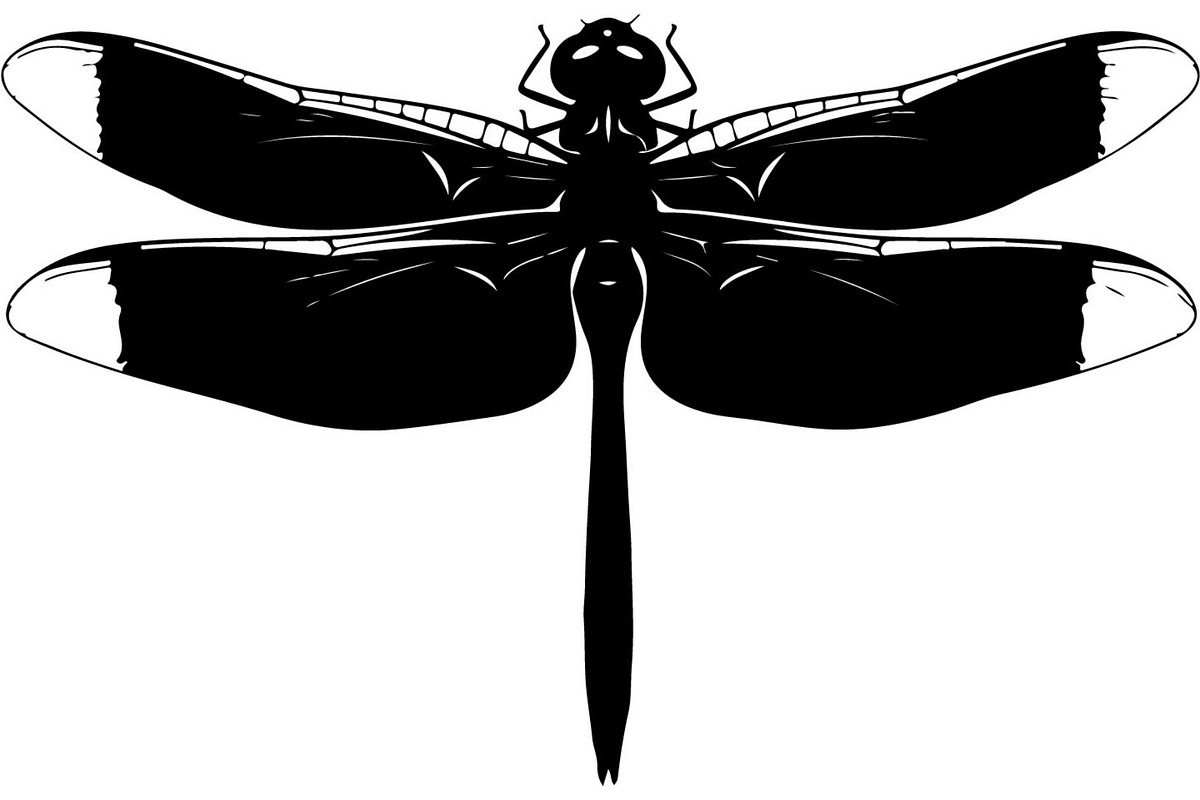 20 Dragonfly Silhouette Mega, an Object Graphic by Designer_Momina (Photo 3 of 19)
