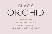 Stamford font family, a Sans Serif Font by LostandFoundry (Thumbnail 2 of 11)