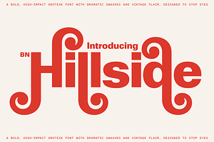 BN Hillside Grotesk, a Sans Serif Font by Bnick