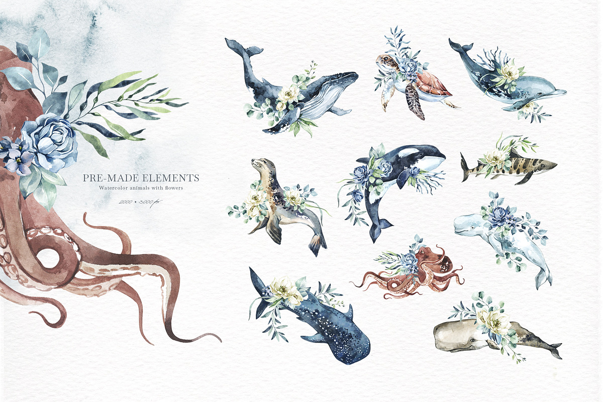 OCEANIA Watercolor set, an Animal Illustration by Anastezia Luneva (Photo 5 of 12)