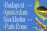 Bright Renew Modern Serif Display, a Serif Font by timelesstype.co (Thumbnail 5 of 20)