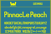 Fruit Branch font, a Font by weknow (Thumbnail 2 of 5)