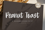 Peanut Toast - Handbrushed Font, a Script Font by Letterative Studio (Thumbnail 1 of 5)