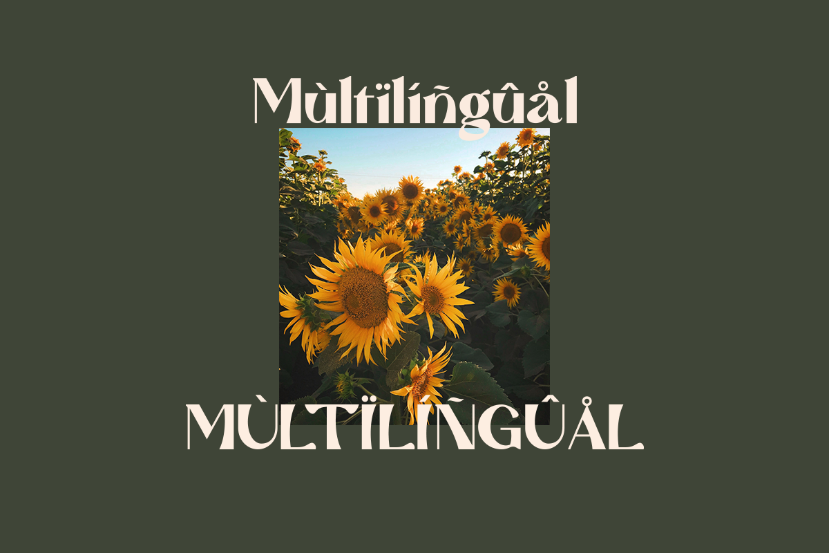 Mattire - Modern Serif Typeface, a Sans Serif Font by Dharmas Foundry (Photo 11 of 12)