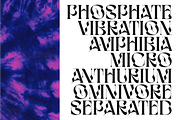 BOPHERA, a Sans Serif Font by Bagerich Type Foundry (Thumbnail 13 of 15)