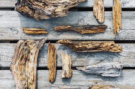 Wood Logs preview 2
