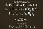 Quinceanere, a Handwritten Font by FreshTypeINK (Thumbnail 4 of 8)