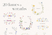 World of Butterflies & Wild Flowers., a Seasonal Illustration by Designwork (Thumbnail 5 of 20)