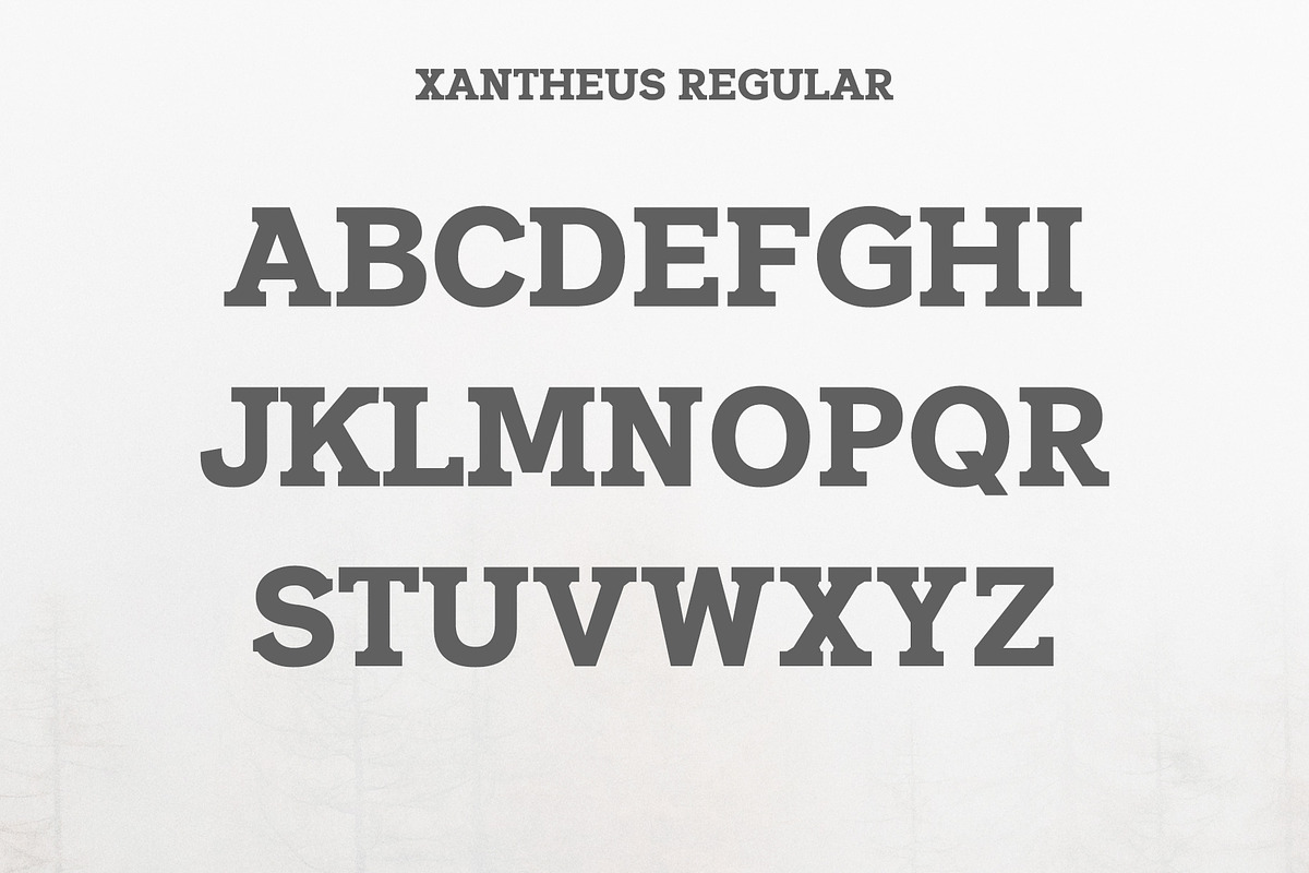Xantheus Serif Font Family preview 2