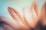 Harmony – Soft Focus Backgrounds, a Texture Graphic by Filip Studio (Thumbnail 6 of 8)