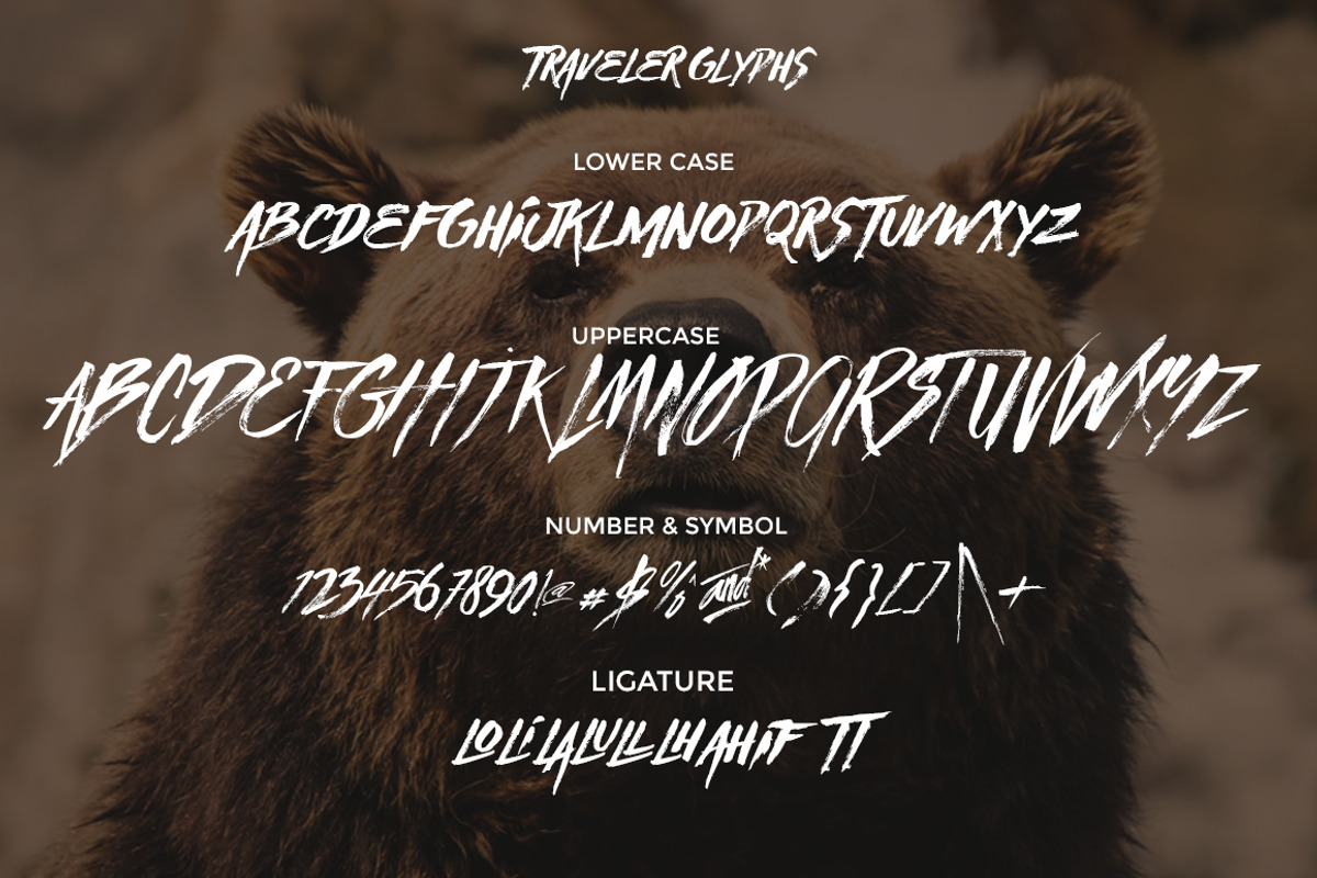 Traveller preview 8