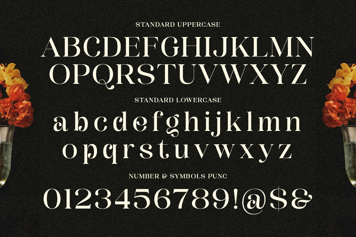 Dinner Grope - Classy Display Serif, a Serif Font by Shakira Studio (Photo 9 of 10)