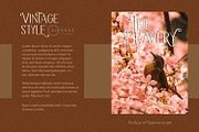 The Bravery, a Serif Font by Pollux of Geminorum (Thumbnail 6 of 12)