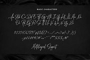 Chicnatures, a Script Font by Abo Daniel Studio (Thumbnail 13 of 16)