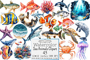 Watercolor Sea Animals Clipart, a Seasonal Illustration by Design Market (Thumbnail 1 of 5)