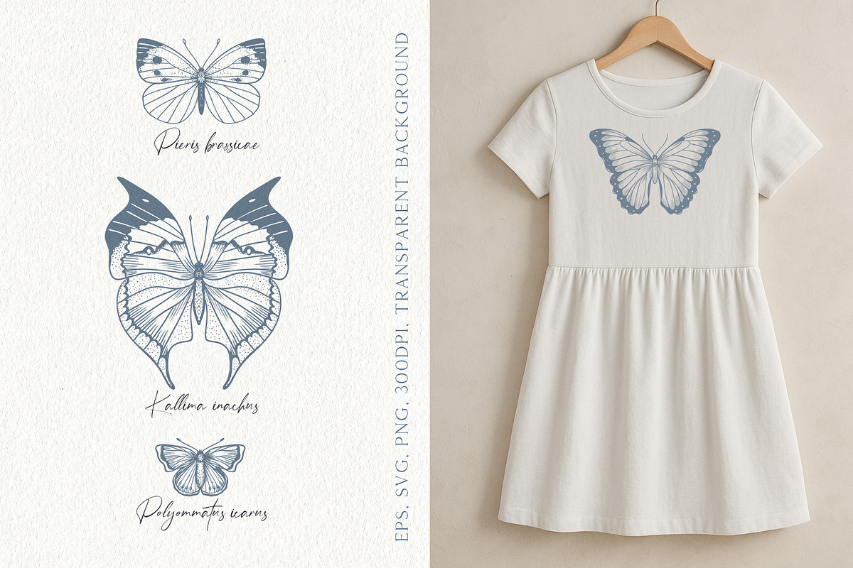 Wings in Ink. Vector Butterflies, an Object Graphic by PenguinArtStudio (Photo 2 of 6)
