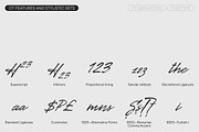 TT Disruptors, a Script Font by TypeType (Thumbnail 12 of 12)